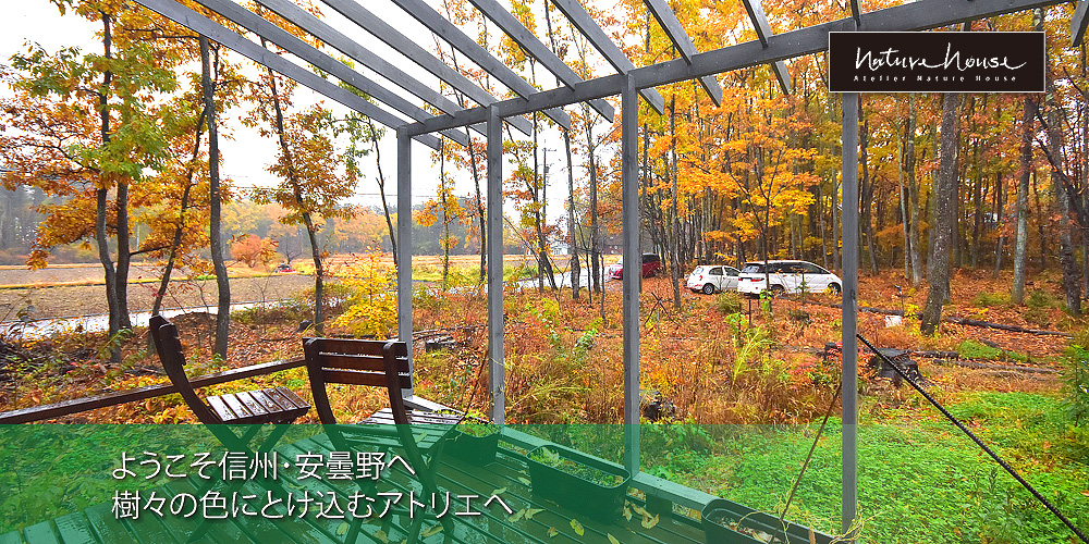 Silver Jewelry シルバージュエリー